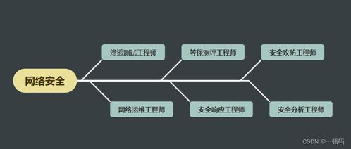 想入行网络安全行业？别急，先看了这篇文章再说 网络与信息安全软件开发之路